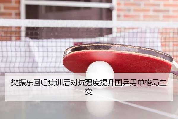 樊振东回归集训后对抗强度提升国乒男单格局生变